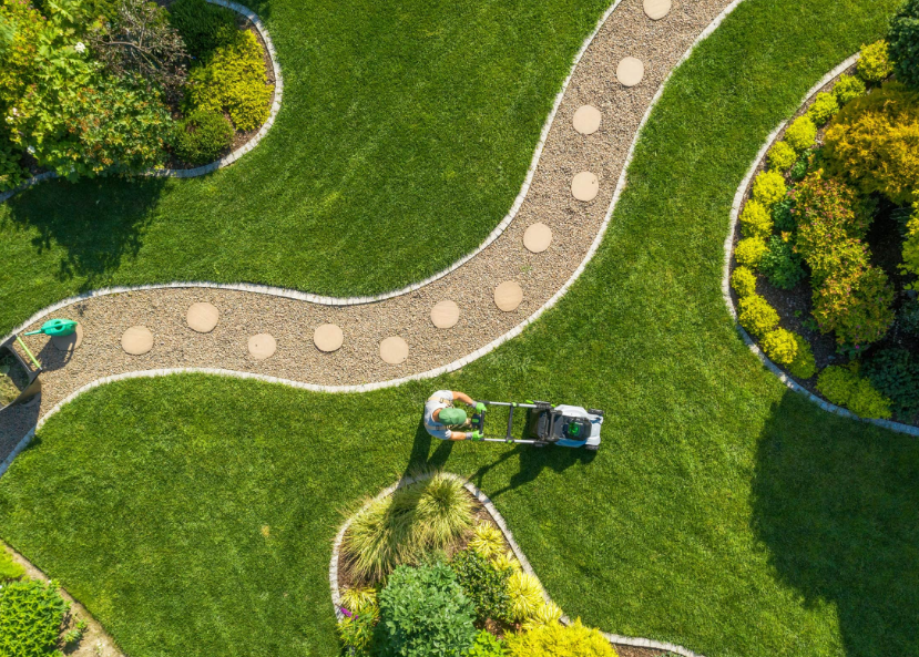 affordable landscaping in Auckland
